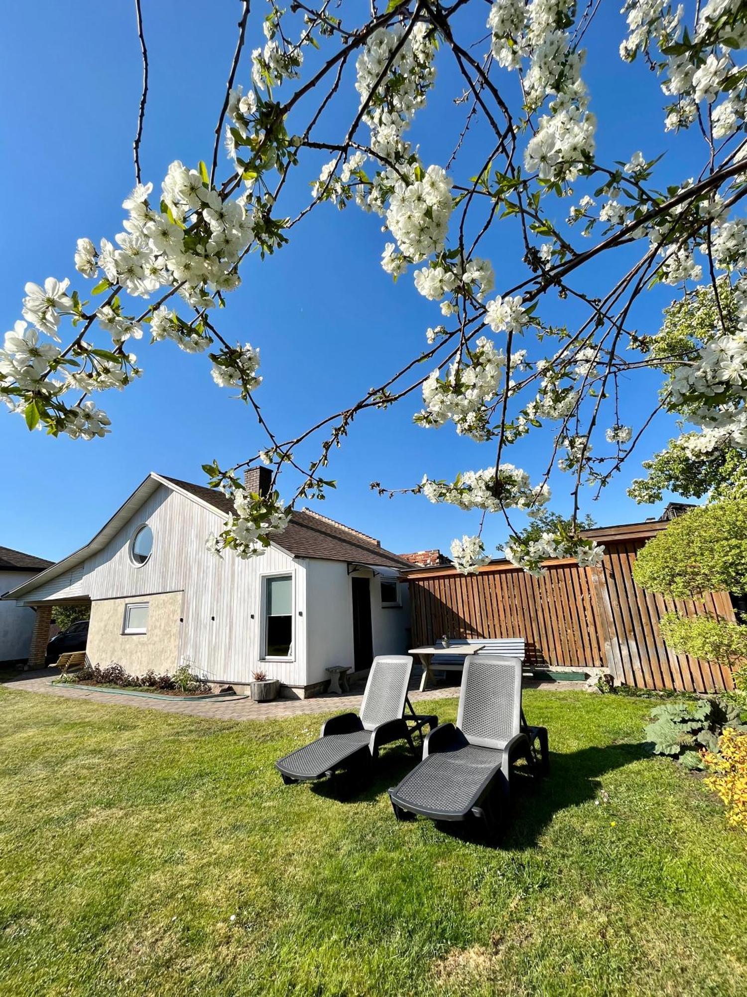 Two Story Tiny House Villa Ventspils Buitenkant foto